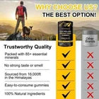 Pure Himalayan Shilajit Gold Gummies 3000MG 60 Gummies