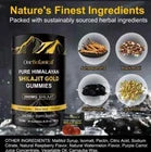 Pure Himalayan Shilajit Gold Gummies 3000MG 60 Gummies