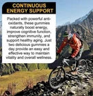 Pure Himalayan Shilajit Gold Gummies 3000MG 60 Gummies